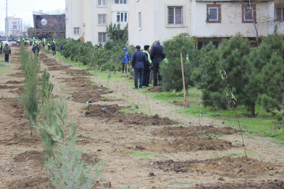  Nazirliyin kampaniyasına  Nərimanov İcra Hakimiyyəti də qoşuldu